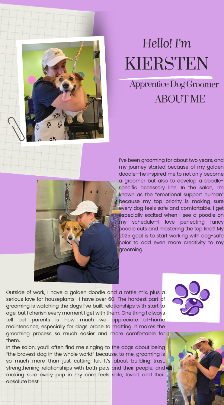 A man is grooming a dog in a collage of photos.