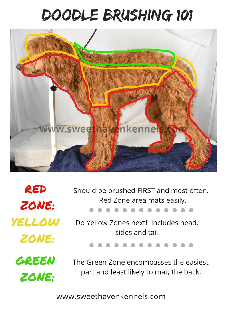 A picture of a dog with the words doodle brushing 101 on it