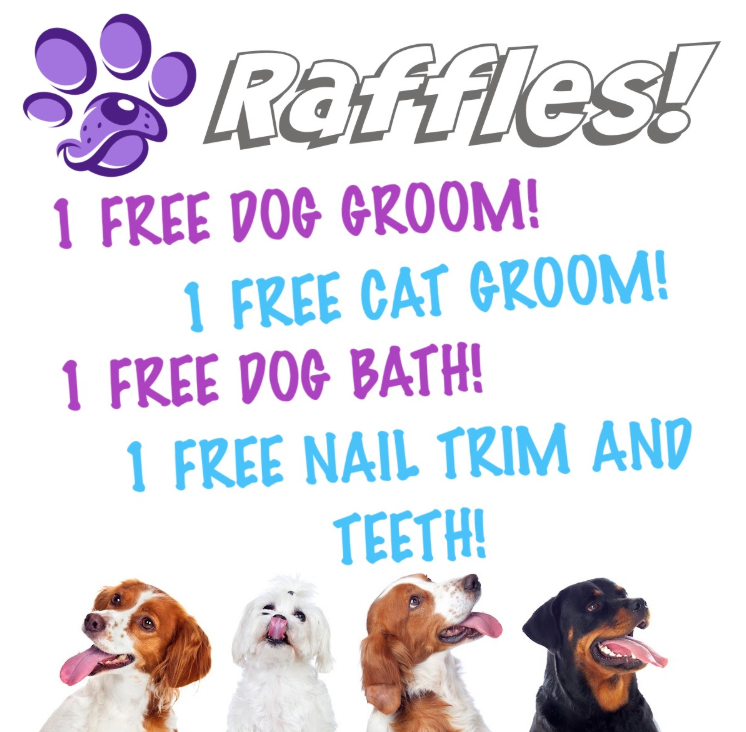 Four dogs are standing next to each other on a sign that says raffles