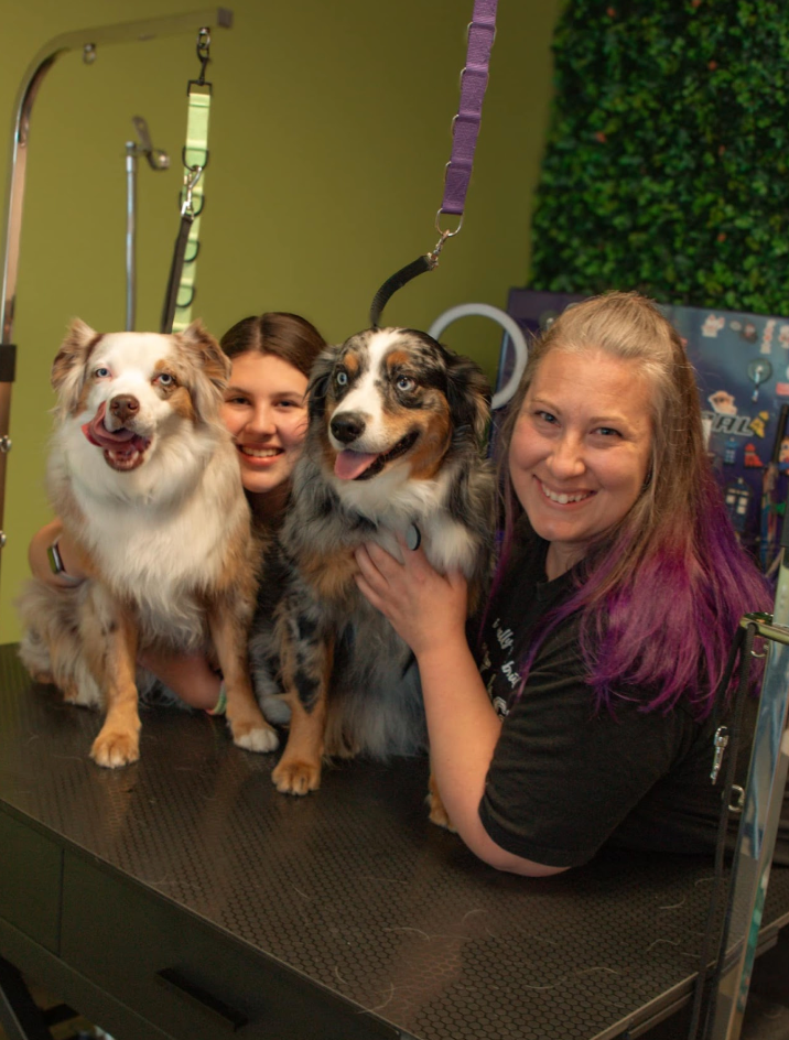 Two women are standing next to two dogs on a table.
