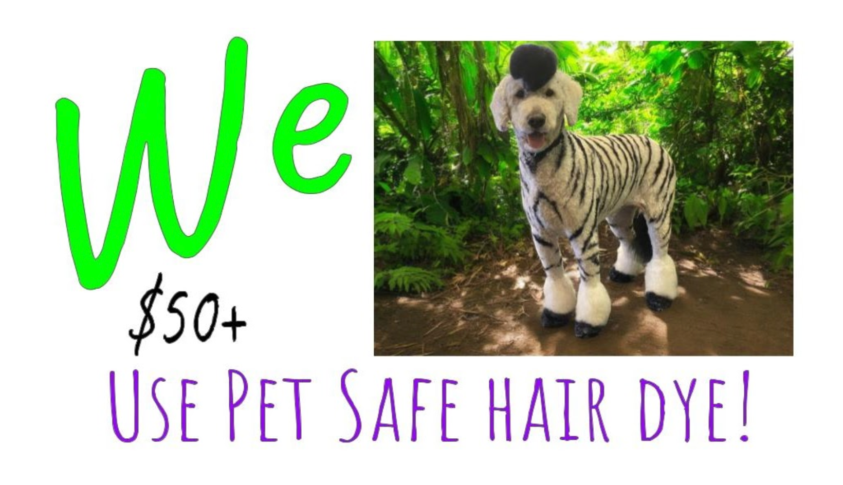 A dog in a zebra costume with the words we $ 50 + use pet safe hair dye