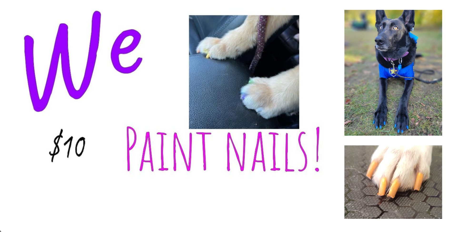 A picture of a dog 's paws with the words `` we paint nails ! ''