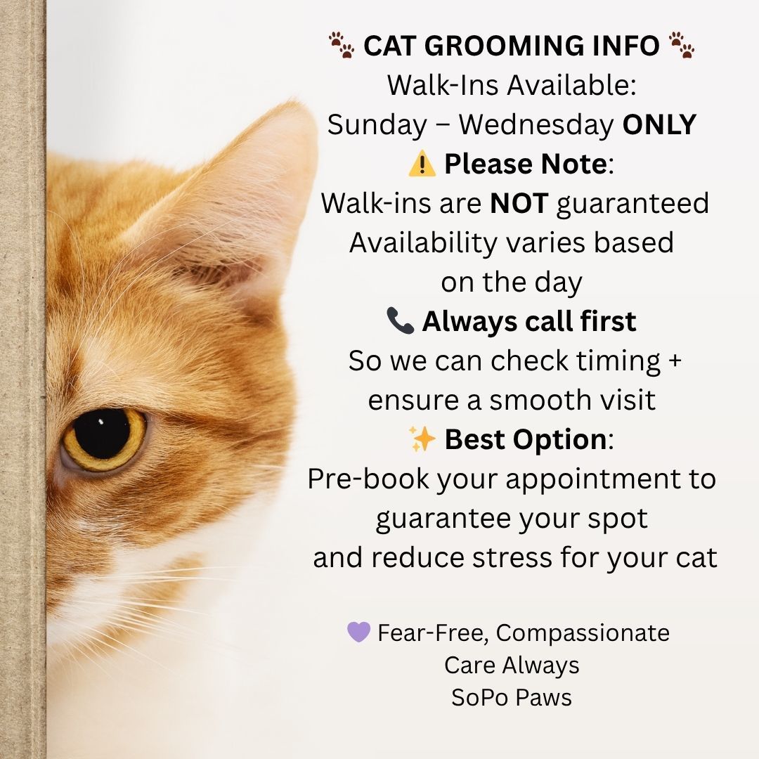 A golden retriever sits beside a scheduling update notice for 