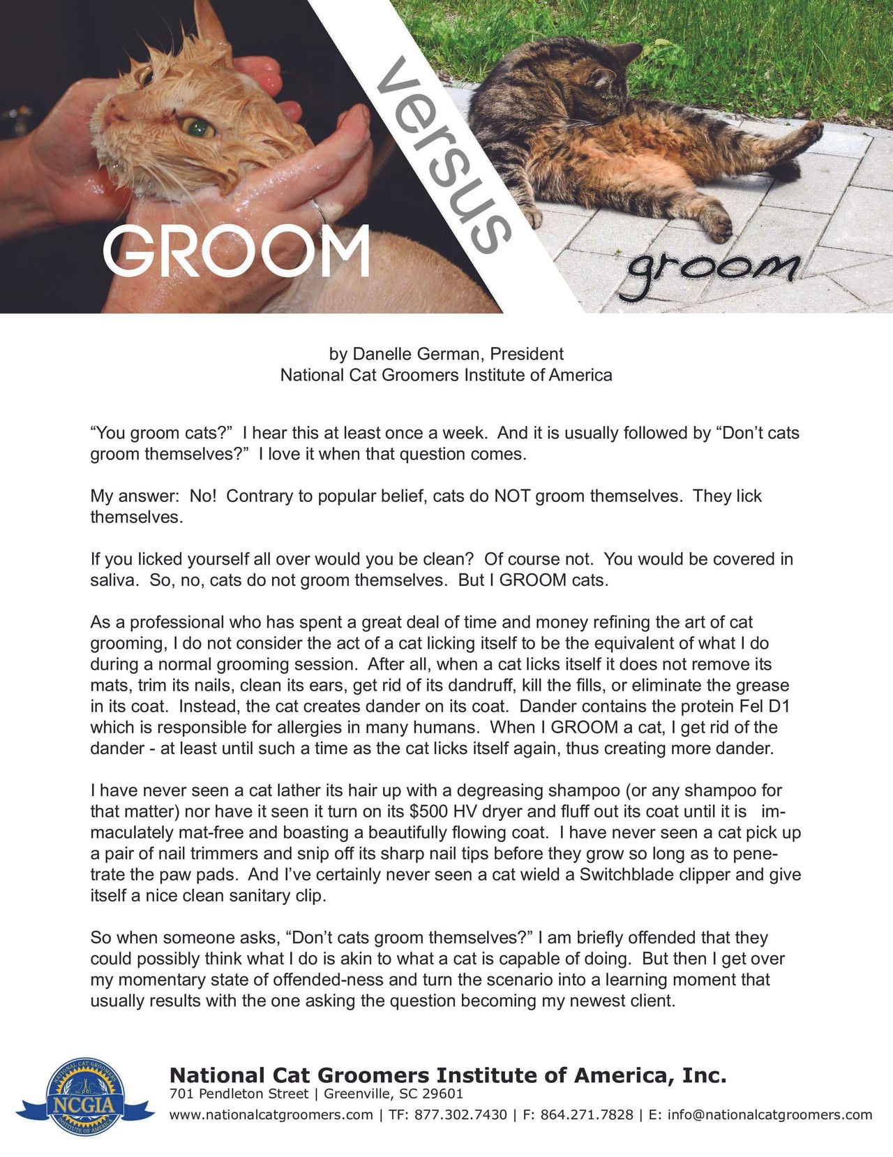 Why Groom Your Cat Ncgia: Essential Tips for Healthy Felines