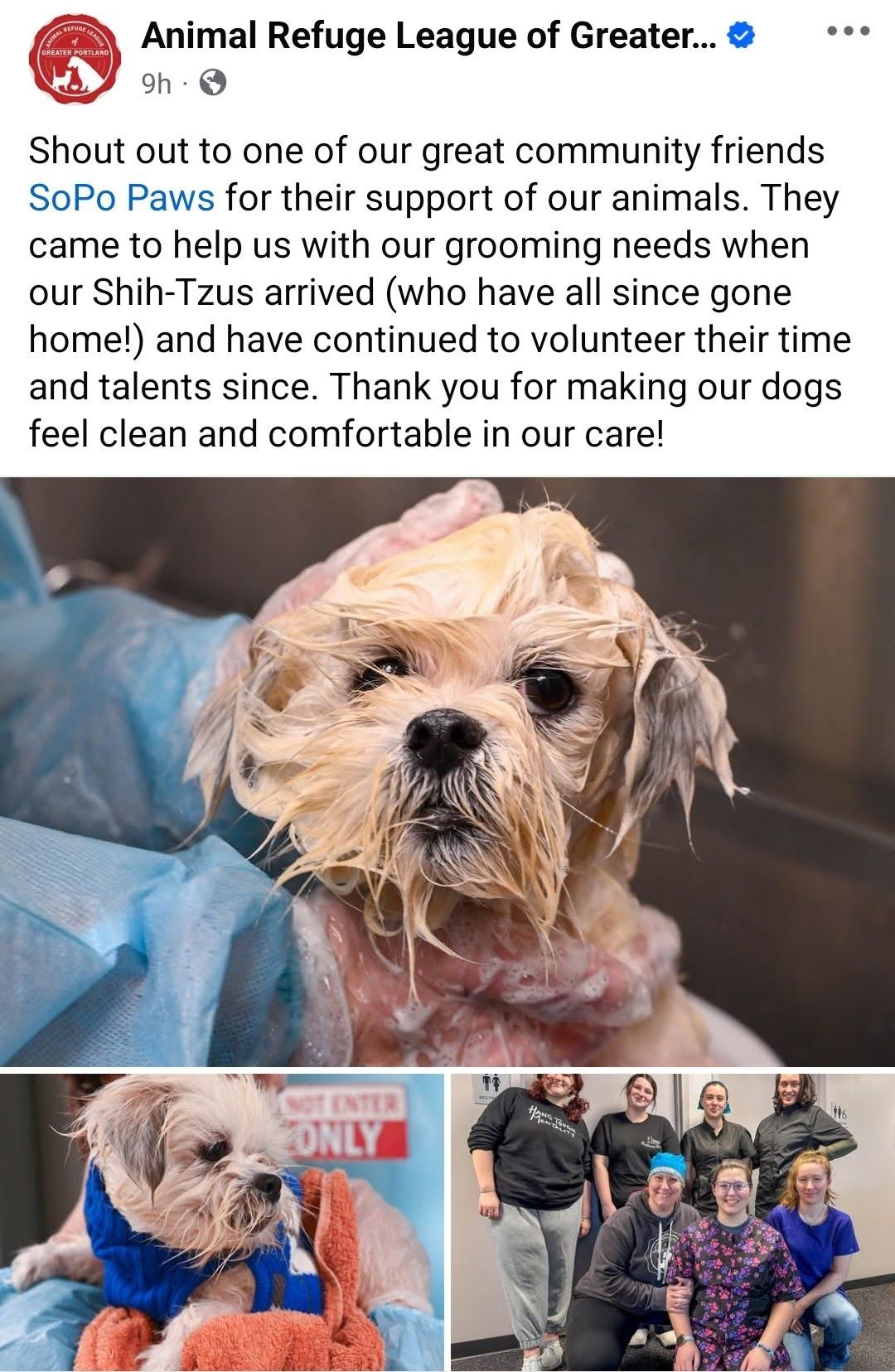 A dog is being groomed by a group of people at an animal refuge league of greater.