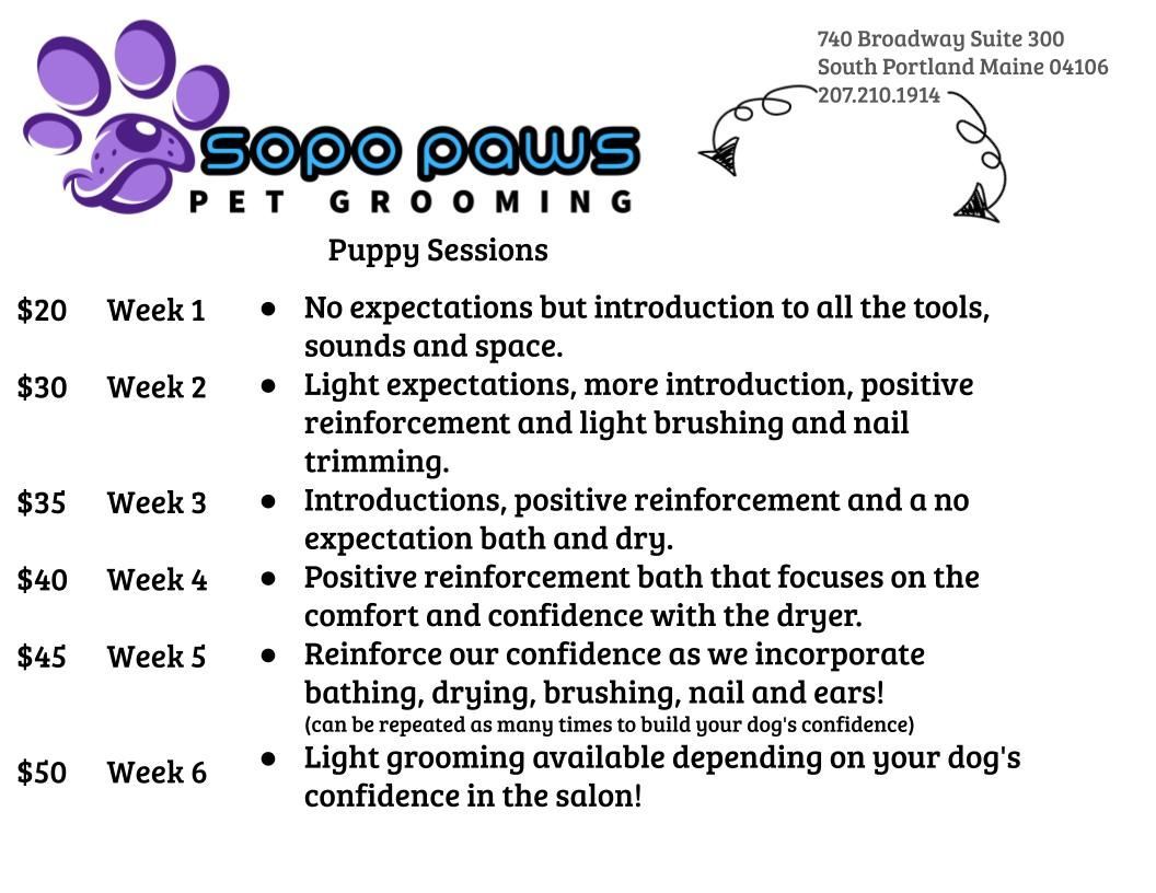 A pamphlet with a picture of a dog and a qr code.