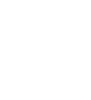 Solo Logo in Footer - linked to home page