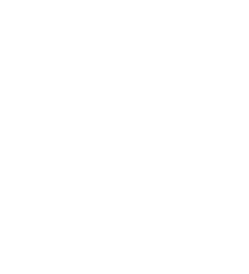 Solo Logo linked to home page