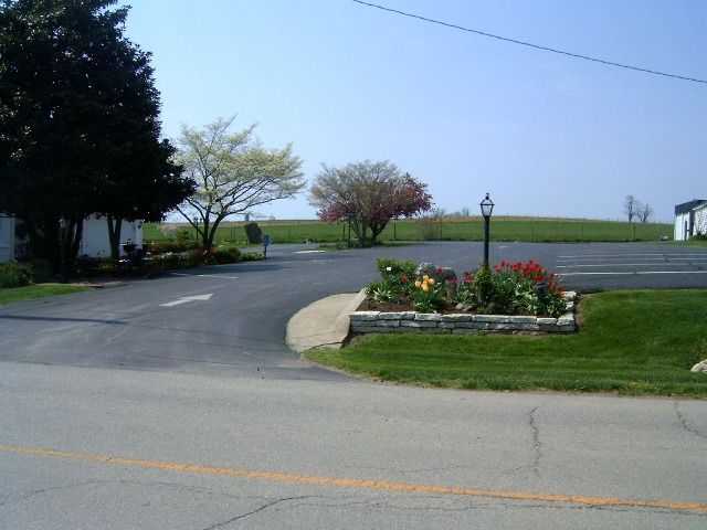 Asphalt road with a flower bed in the center. Trees and a clear sky in the background.