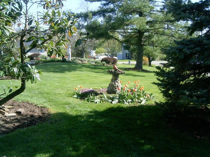 Lush green lawn with a birdbath statue, surrounded by trees and flowering plants on a sunny day.
