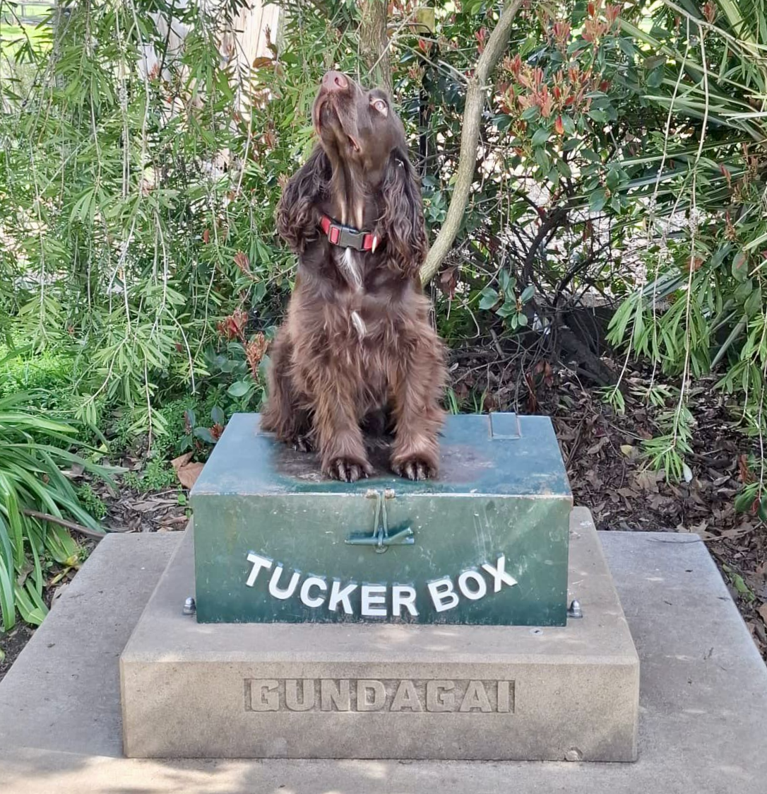 In Gundagai, Poppy just had to have her turn!