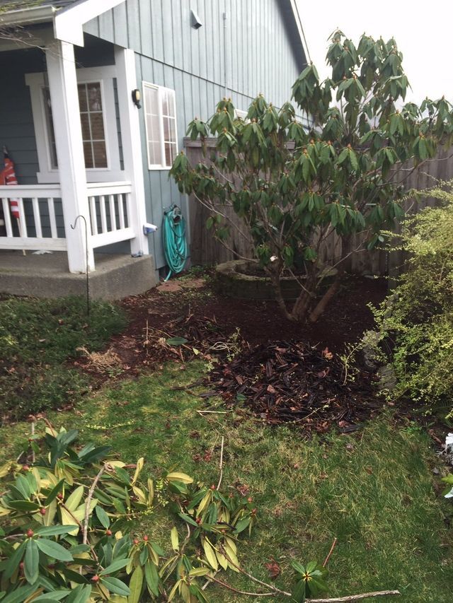 A house with a porch and a tree in front of it