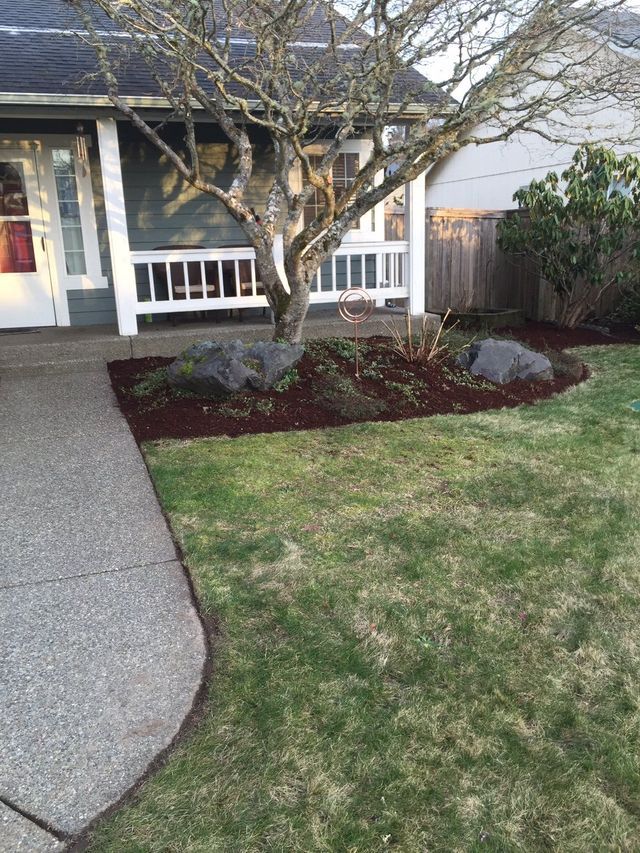 A house with a lush green lawn and a tree in front of it.