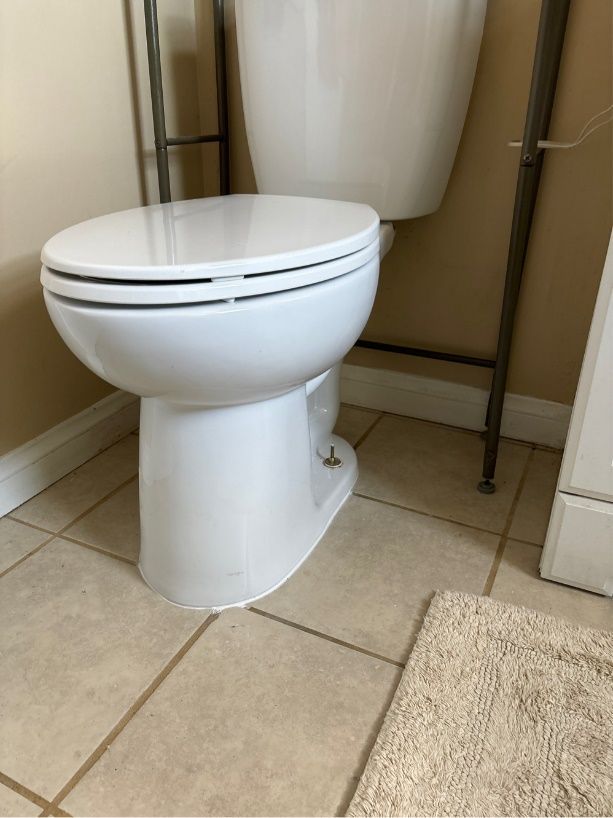 Broken Toilet Bolt, Flange, and Wax Ring Replacement