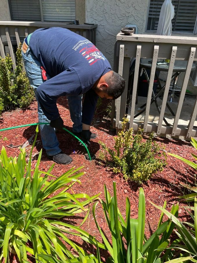 A man is working in a garden with a hose.