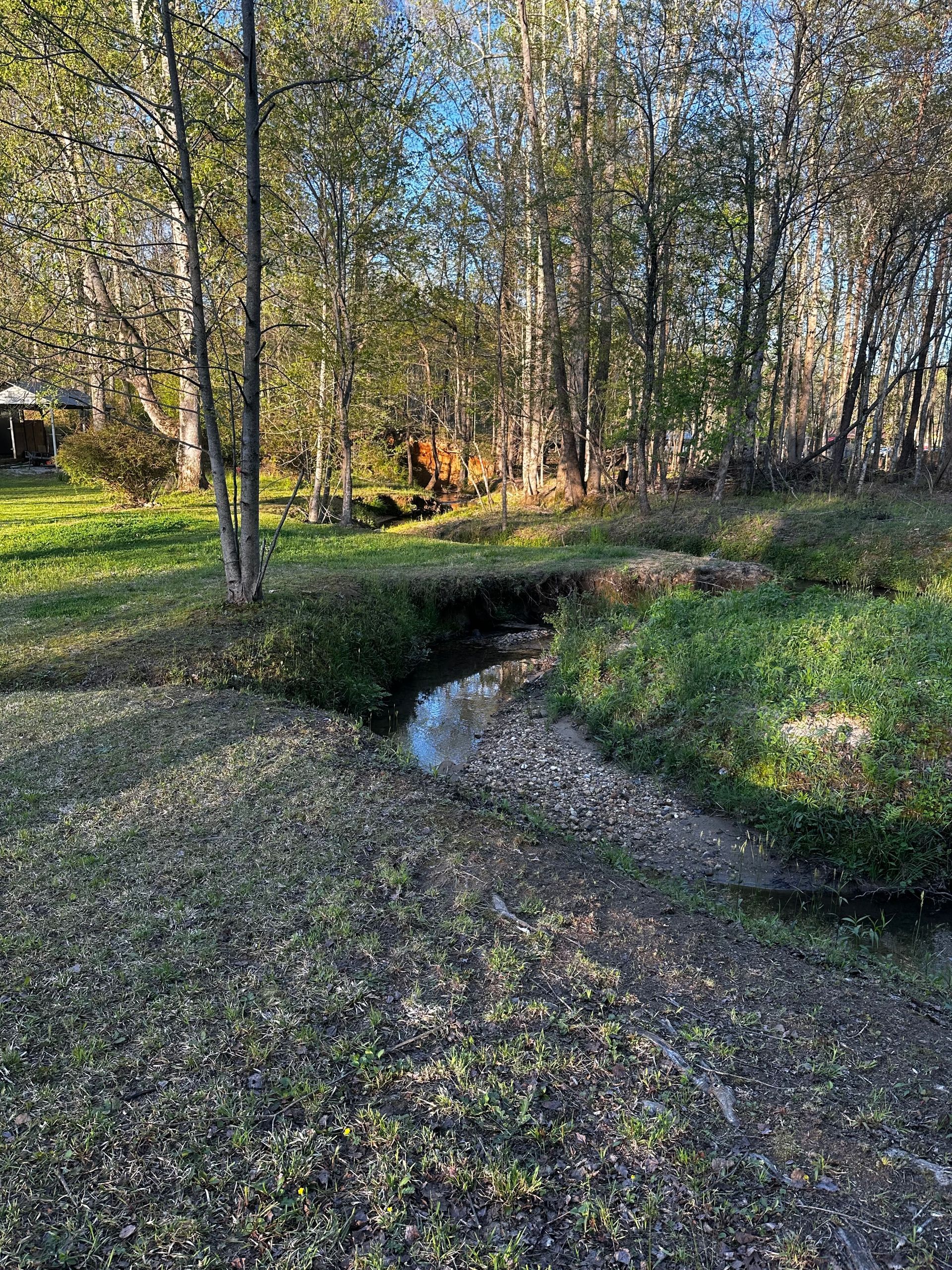 A small stream running through a lush green forest.
