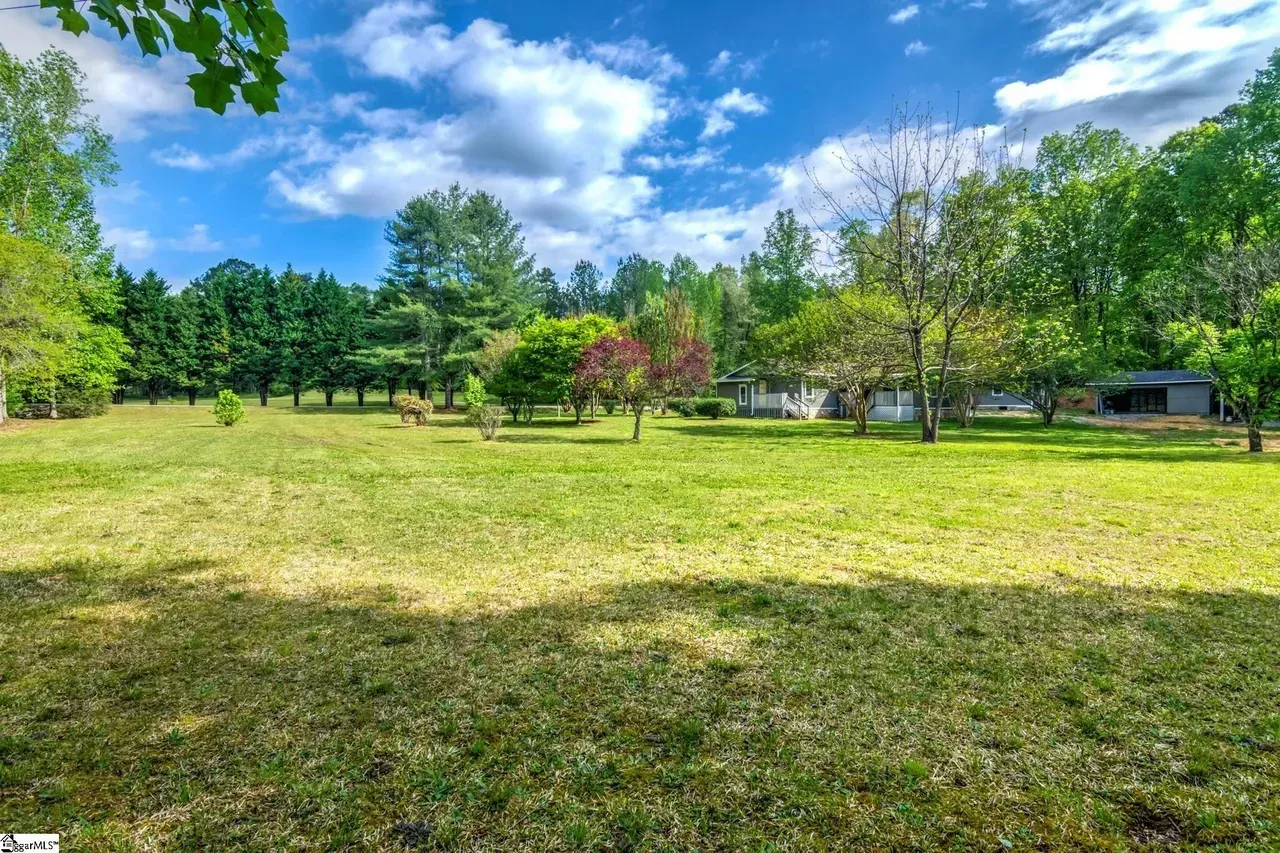 A large grassy field with trees at Renewal Rock.
