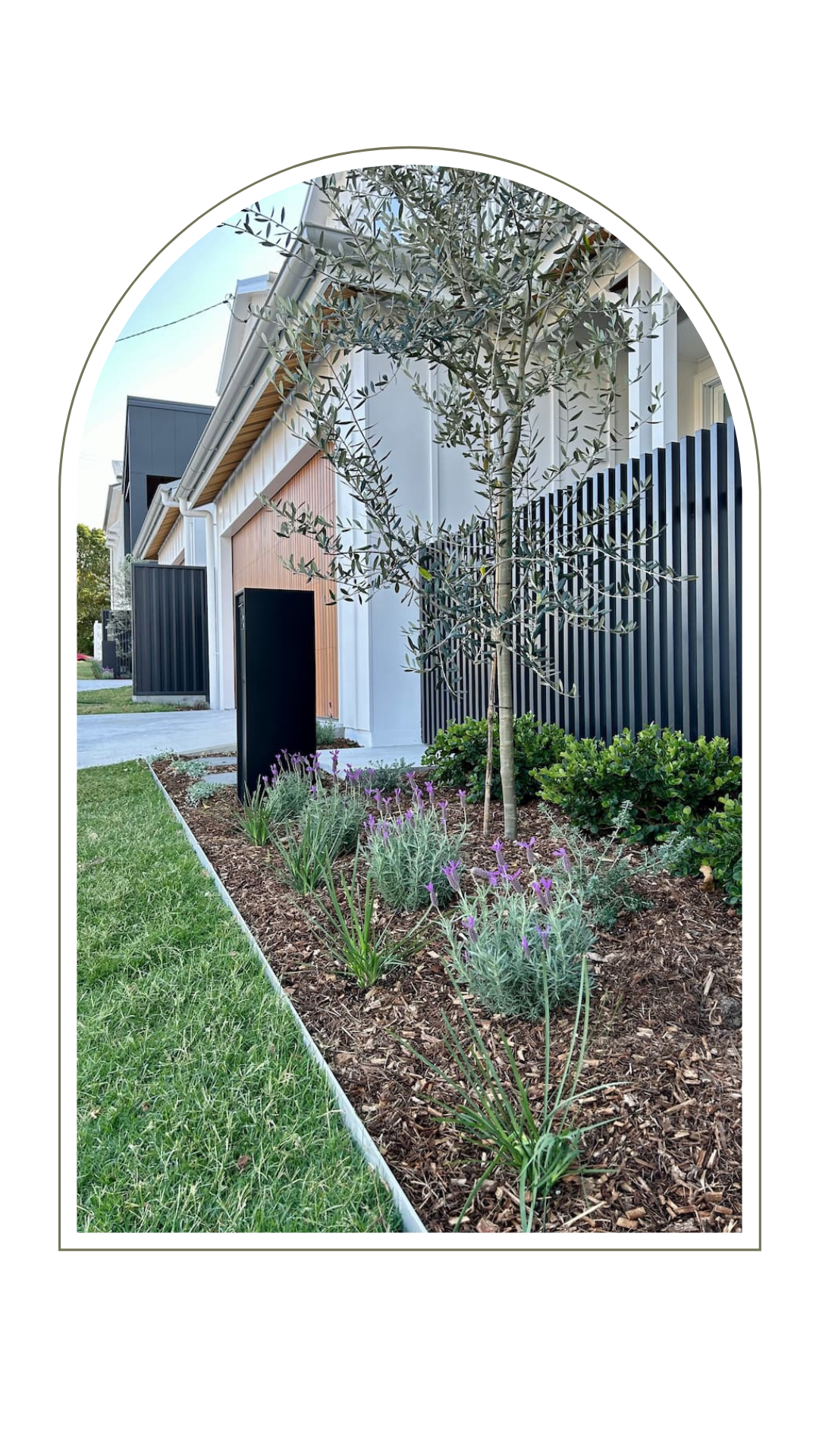 Plants in a front yard - Landscaping Gold Coast