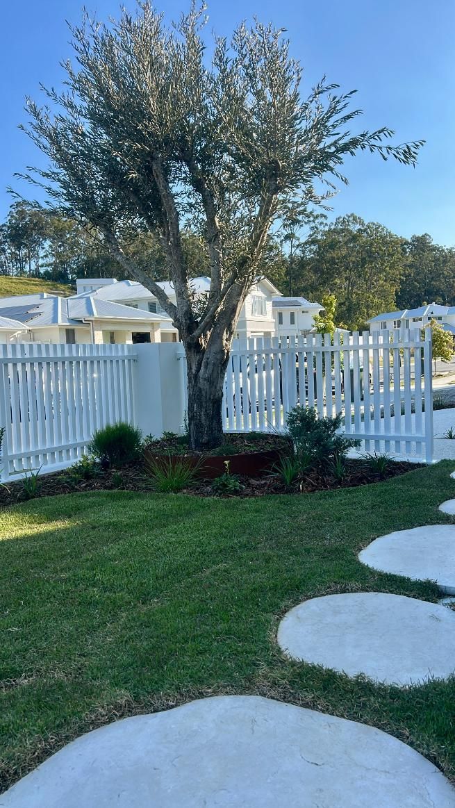A tree stands in a garden with a white picket fence and concrete stepping stones leading toward a white house.
