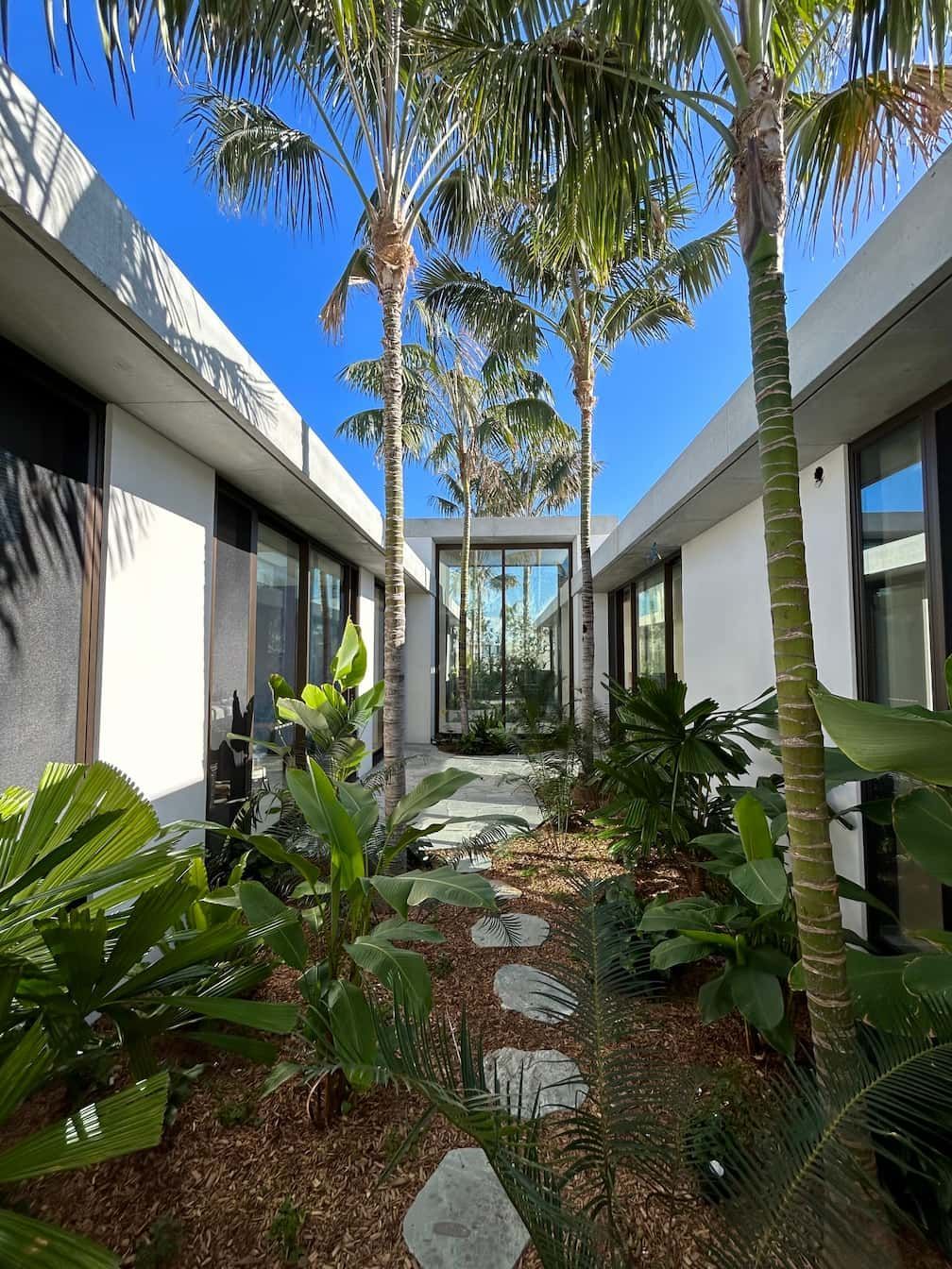 A sunlit garden path between two white buildings with tall palm trees and various lush green plants.