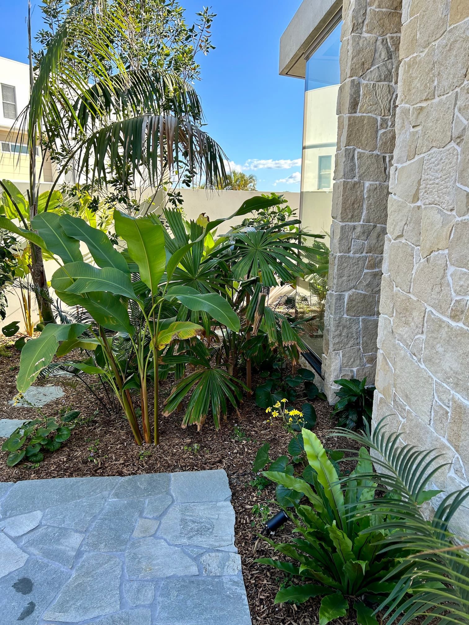 Native plants in a landscaping project - Softscaping Gold Coast
