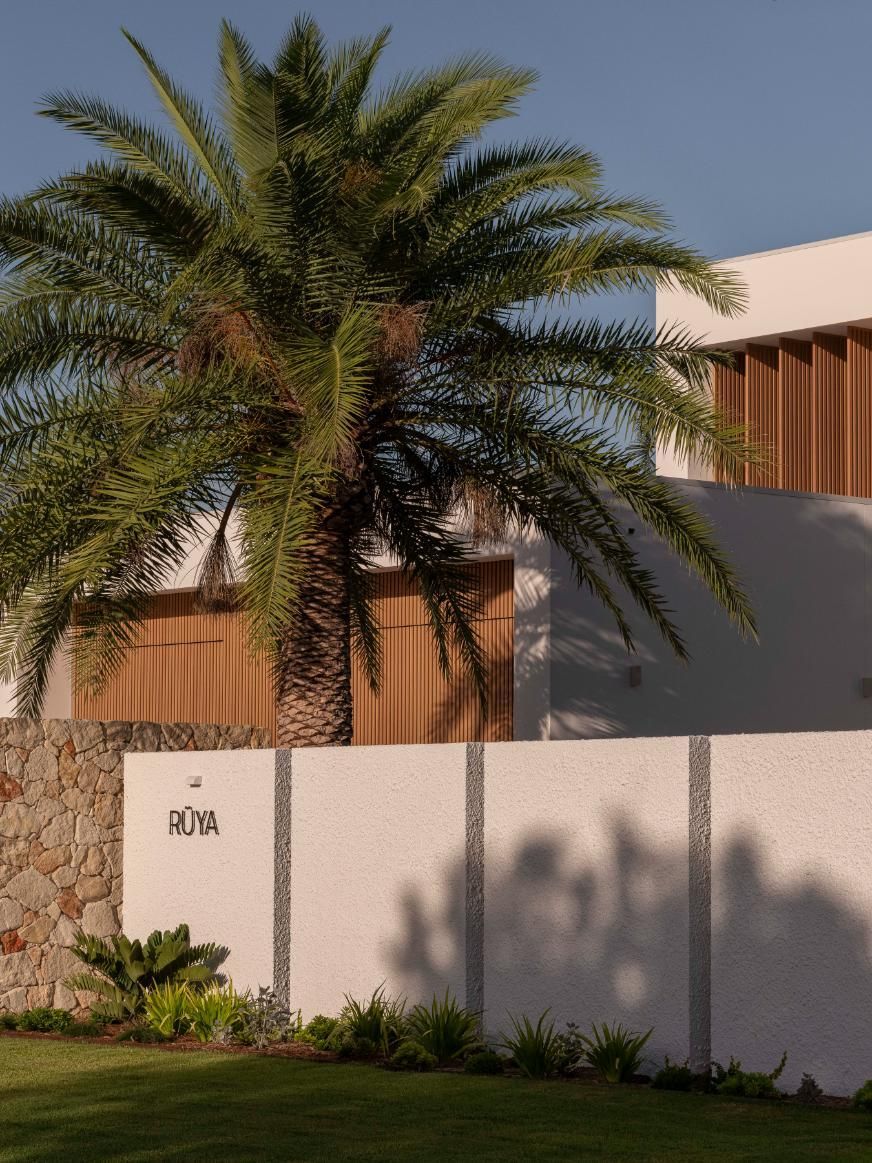 Modern home entrance with a palm tree, textured stone wall, wooden slats, and the name 