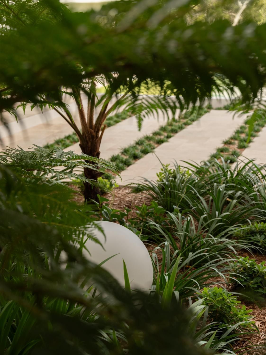 A tree fern overlooks a landscaped garden with rows of pavers and low greenery, featuring a round white garden light.