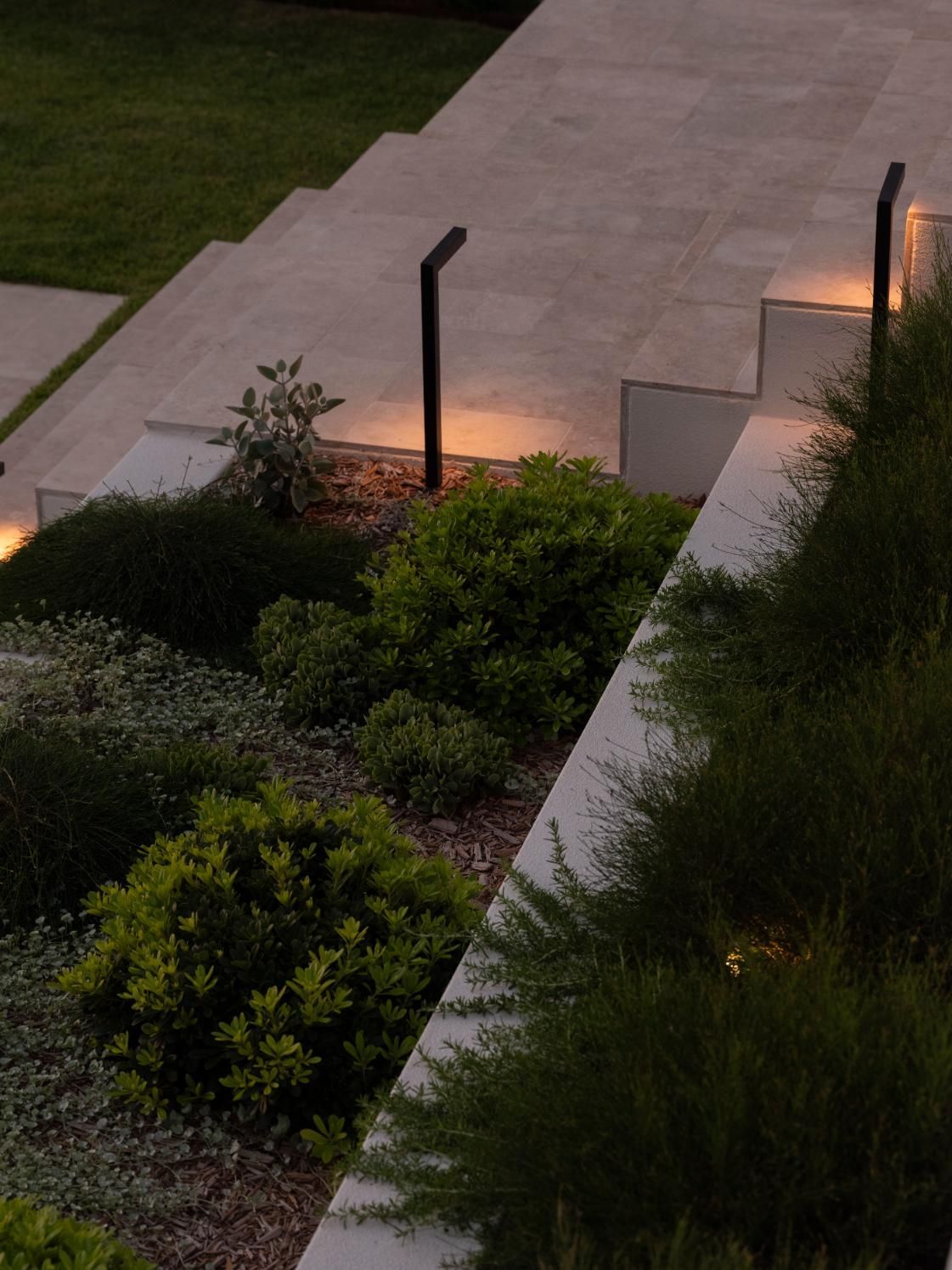 Modern outdoor stone steps lit by black path lights, surrounded by lush green garden plants at twilight.