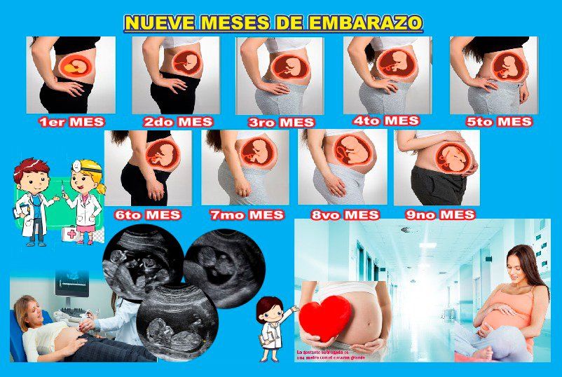 Servicios Médicos Doctor Méndez, servicios médicos.