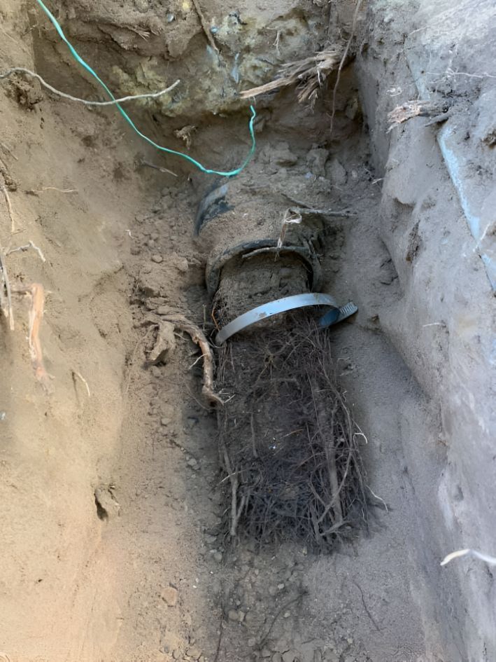 A Pipe With Roots Sticking Out Of It Is In The Dirt — Casino Plumbing In Casino, NSW