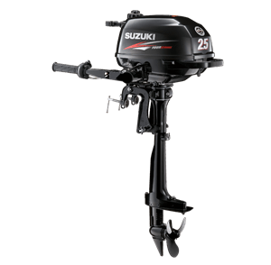 Suzuki DF25 — Southport, NC — Marine Service Pros