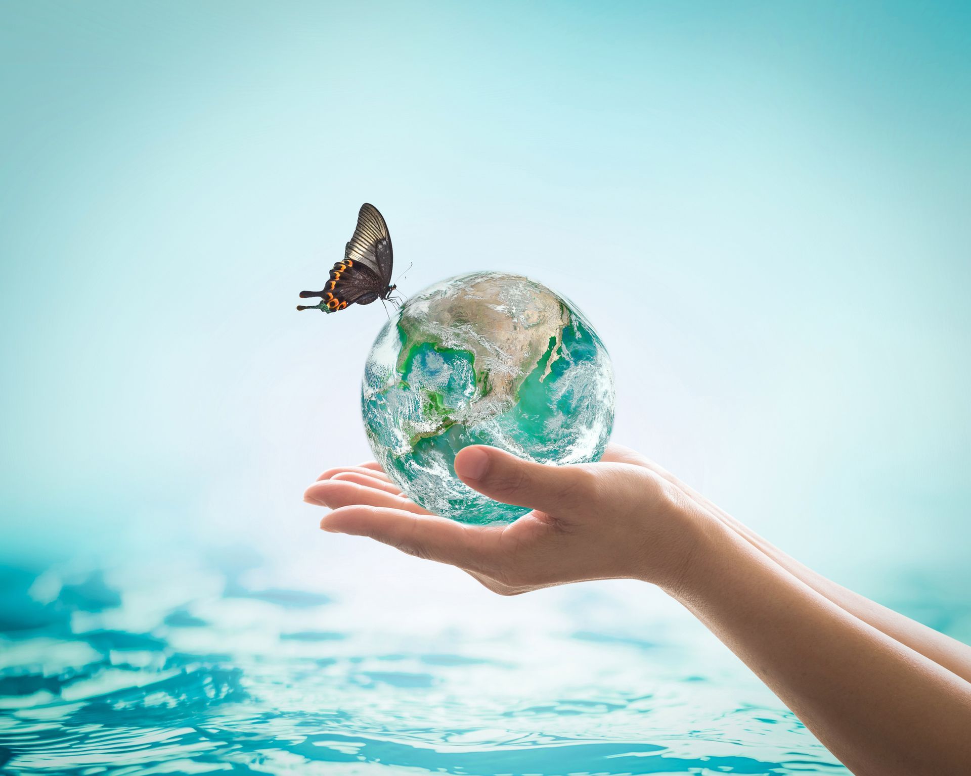 Environmental services focused on protecting wildlife and preserving natural ecosystems.