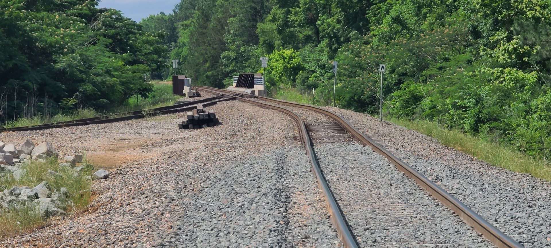 A train track going through a forest with trees in the background.