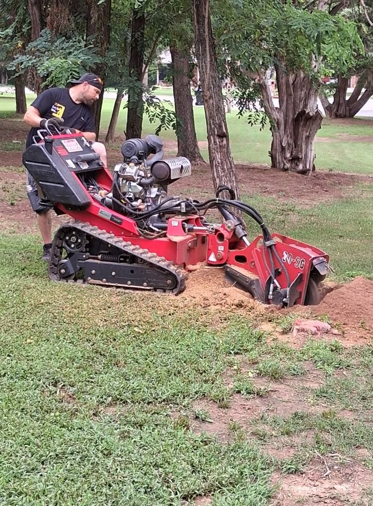 A man is using a stump grinder to remove a tree stump in a park.