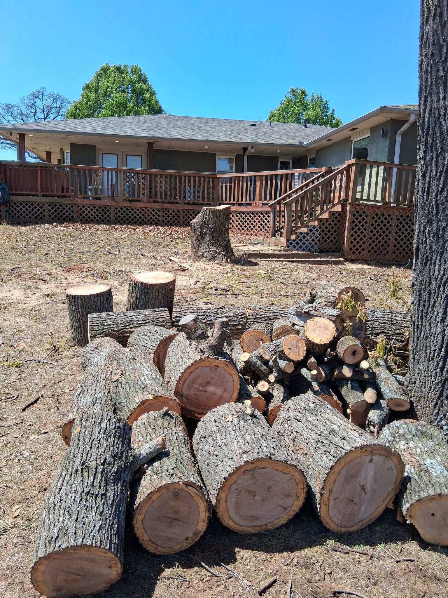 A pile of logs is sitting in front of a house.