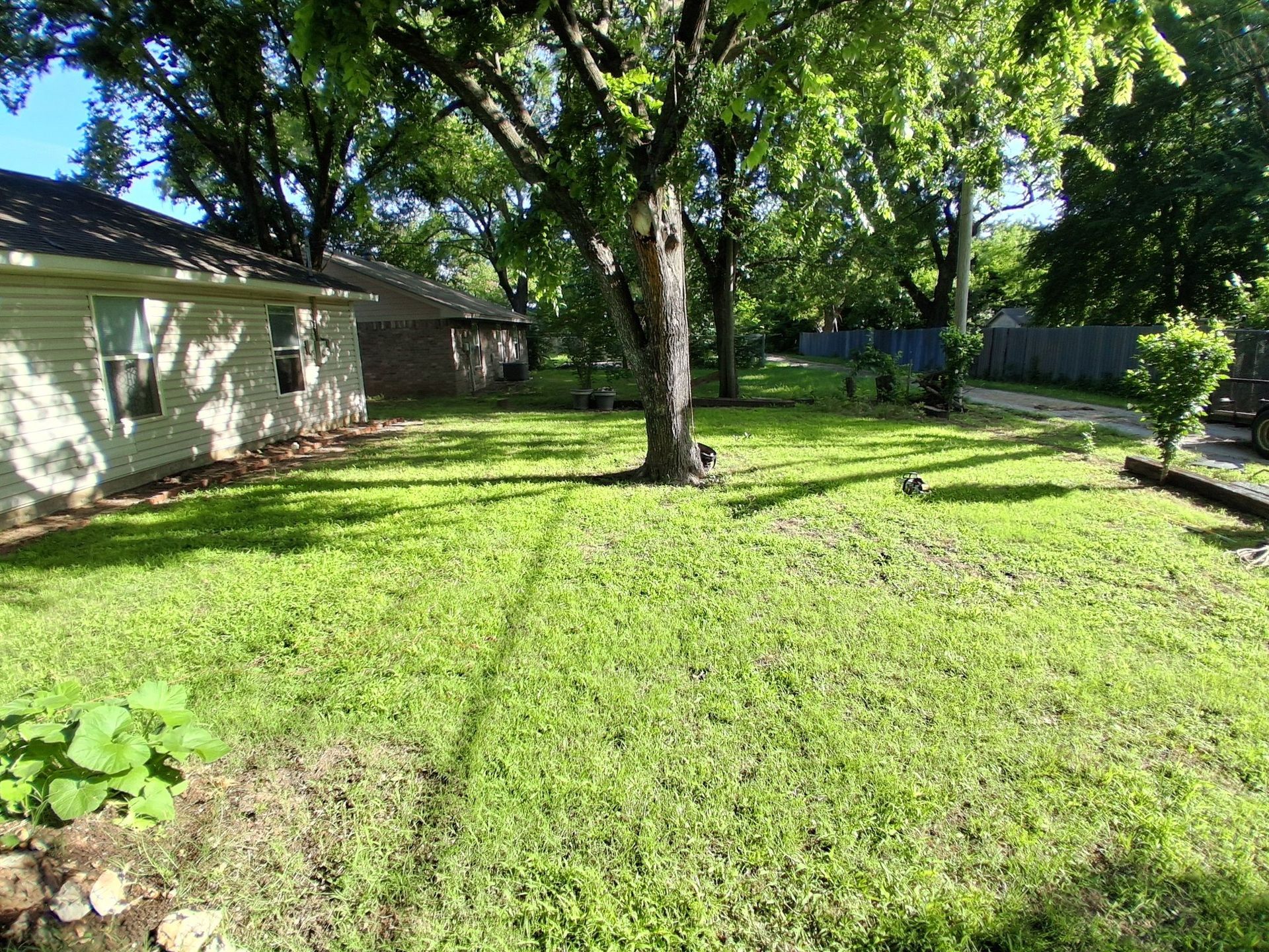 A lush green yard with trees and a house in the background