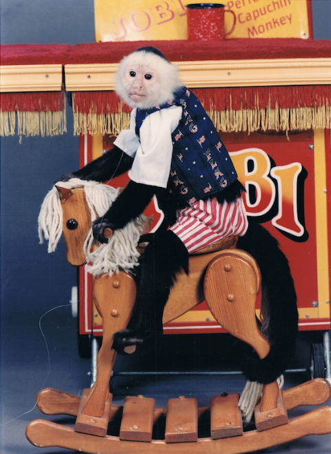 Party Entertainment in Dallas, TX