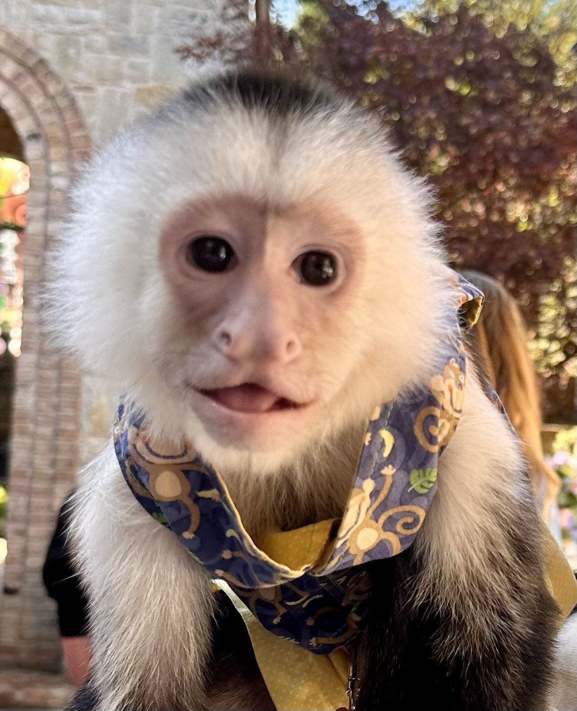 Party Entertainment in Dallas, TX