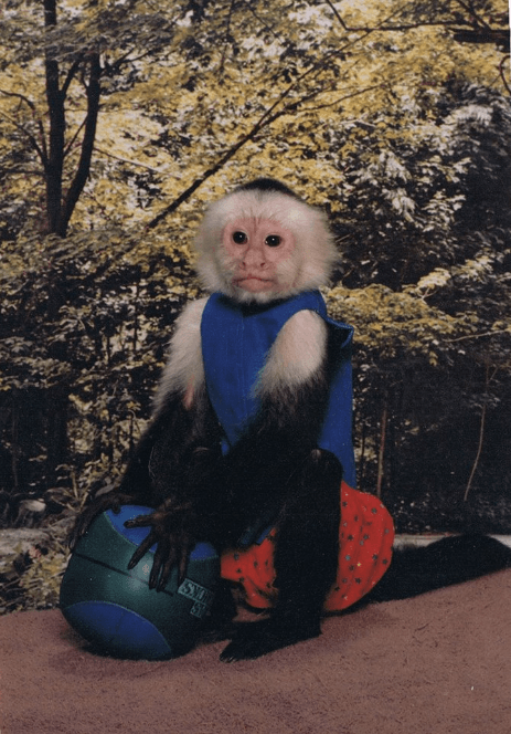 Birthday Party Entertainment in Dallas, TX