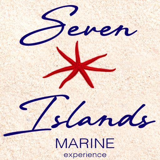 Noleggio gommoni a Piombino senza patente e weekend in barca a vela con skipper. Elba a 20 minuti, formula no stress, carburante e parcheggio inclusi.