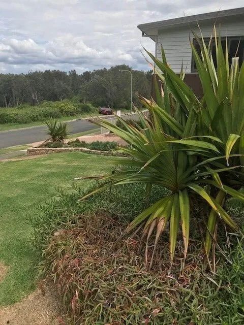A House With A Lot Of Plants In Front Of It — Michael Flick Horticulture in Coffs Harbour, NSW
