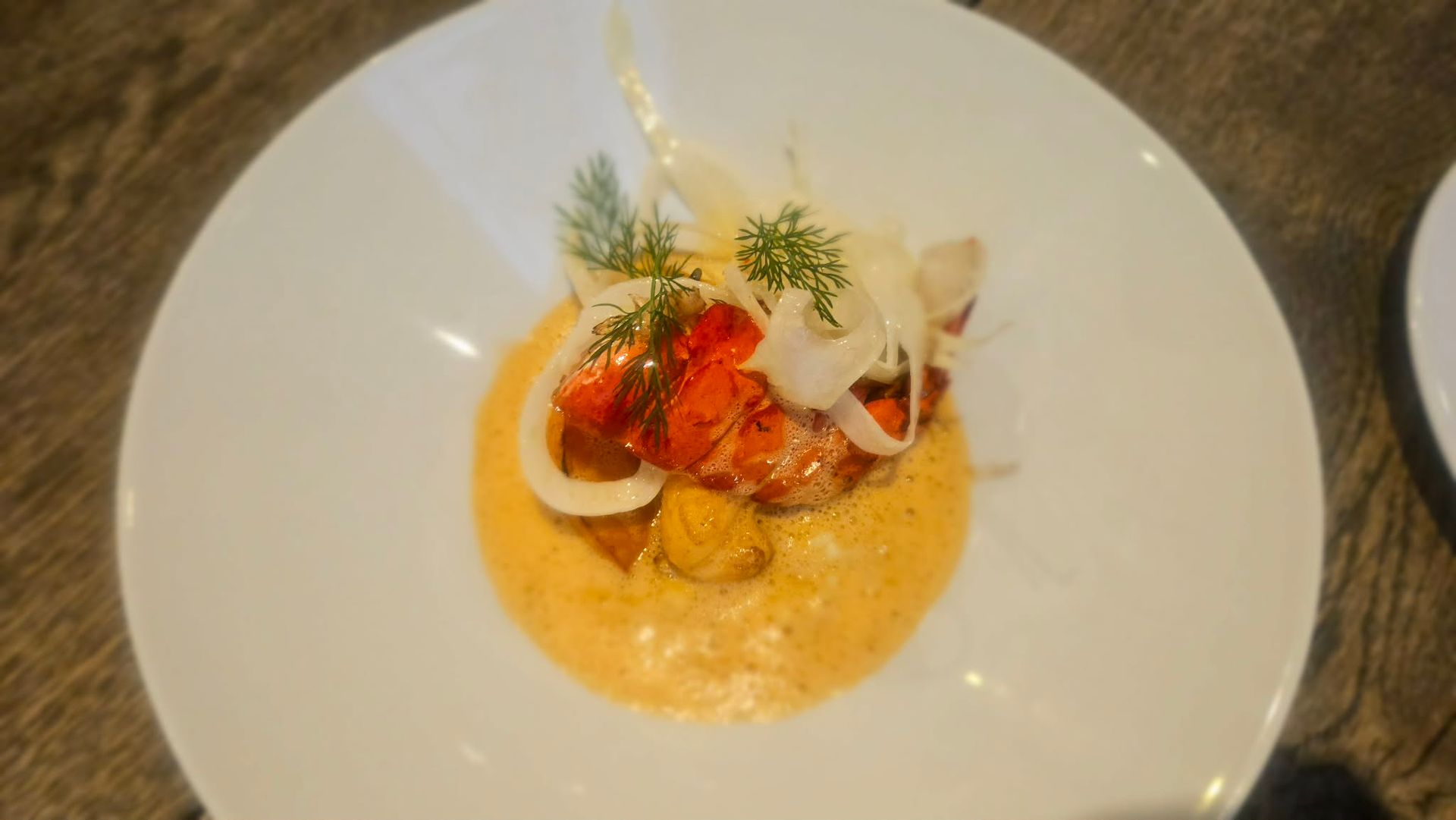 En gourmetret med hummerhale, tyndt skåret fennikel og dildkviste serveret i en cremet appelsinsauce.