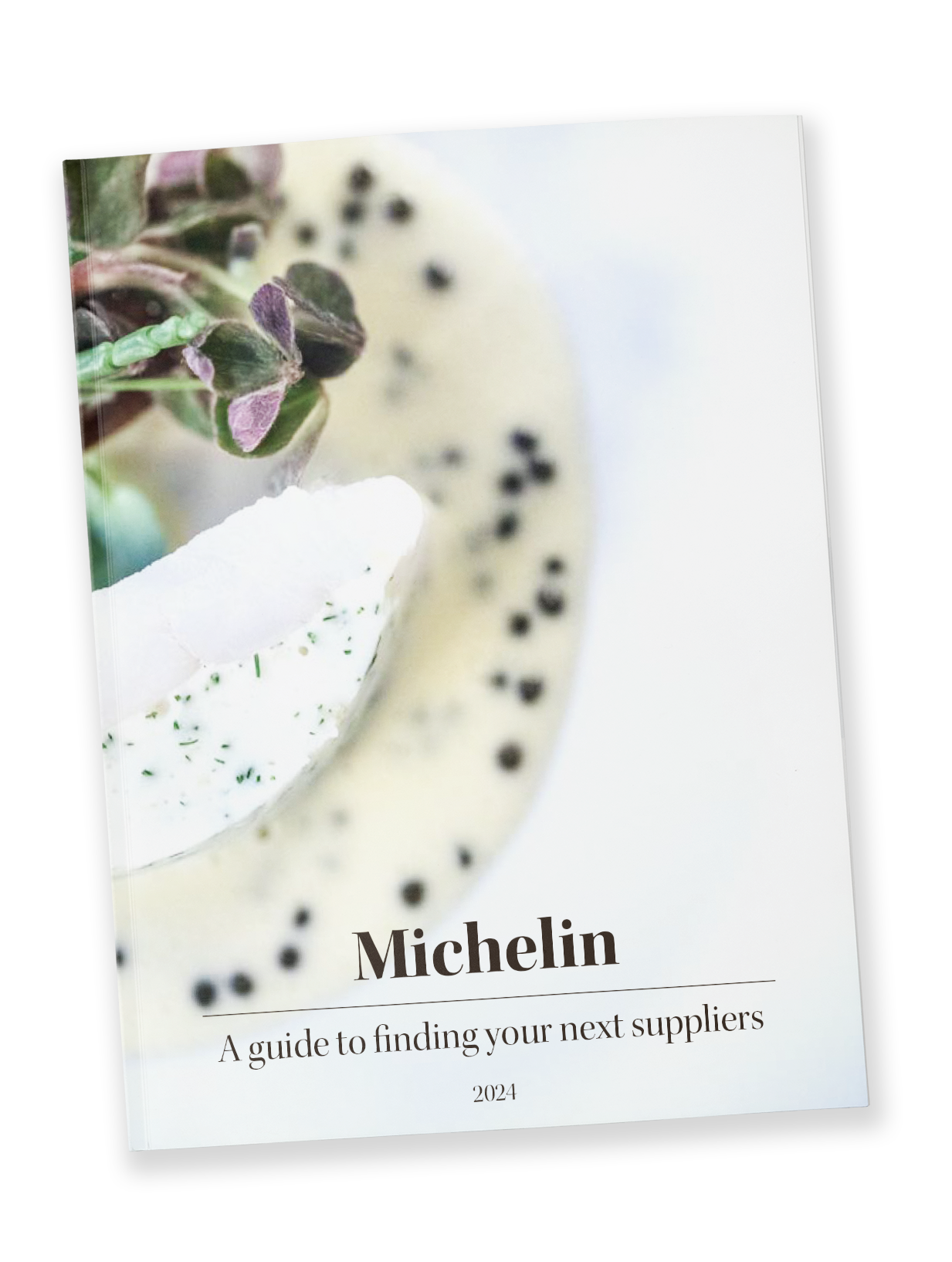 MICHELIN
Leverandørguiden | Nord