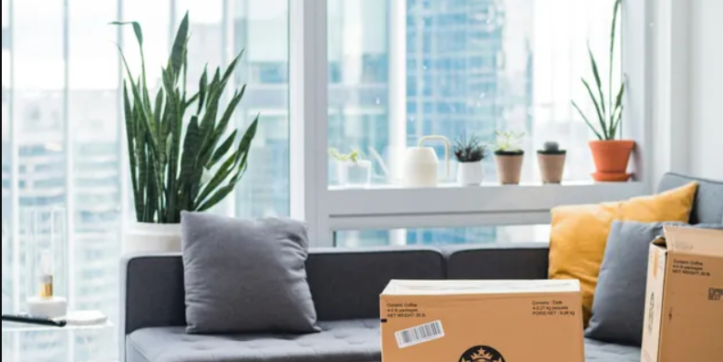 image of window with pots of plants on the ledge