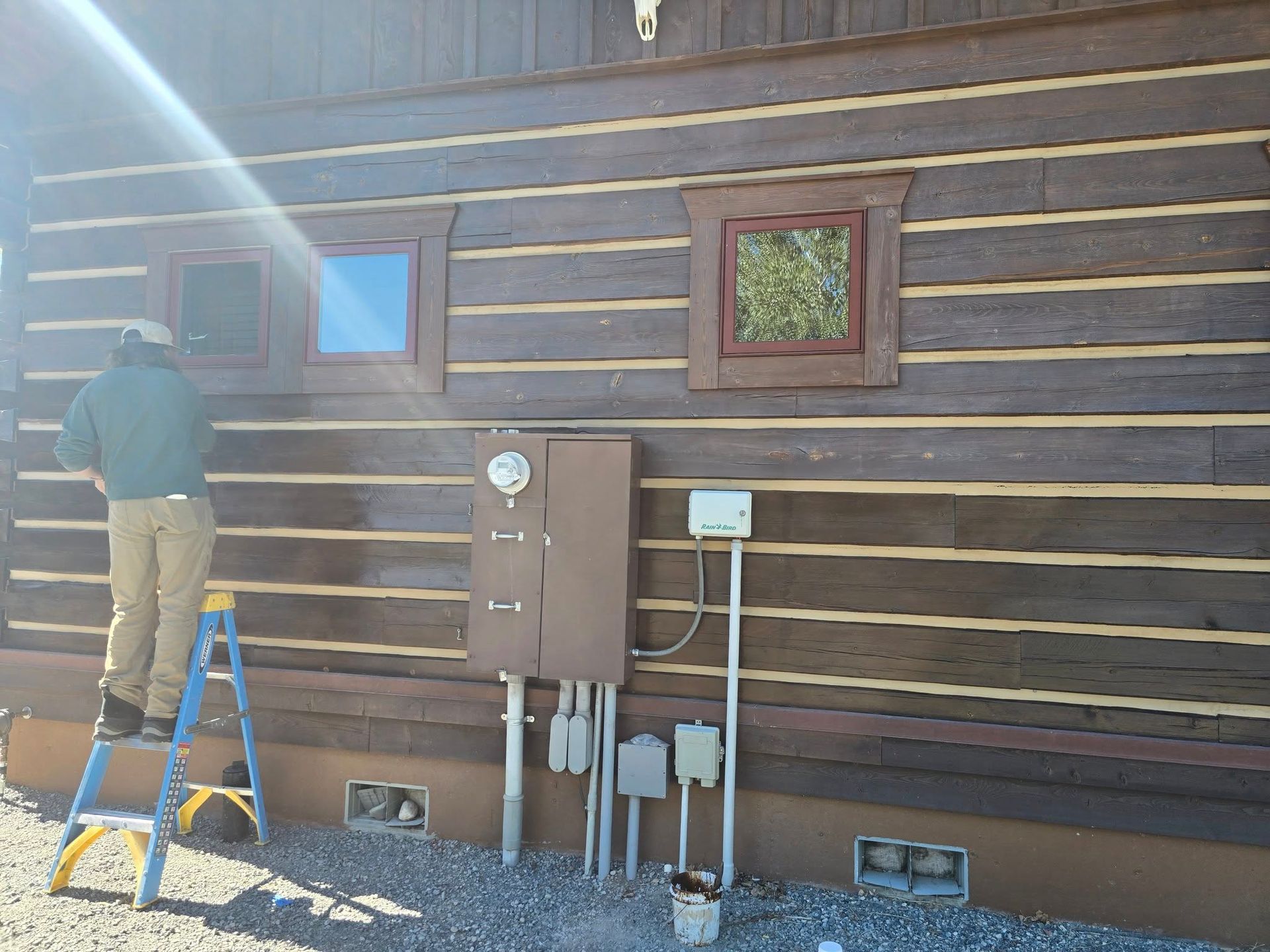 Person on a ladder painting a log cabin exterior, brown logs with tan chinking and brown electrical boxes.