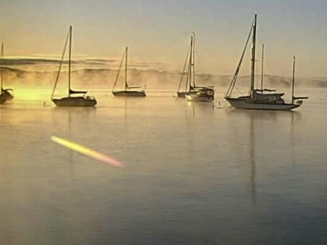 A group of sailboats are docked in the water at sunset.