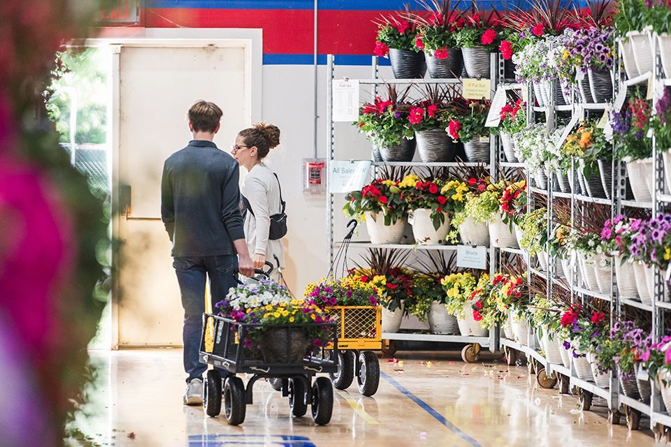 Shoppers browse the ODCS 2024 Plant Sale