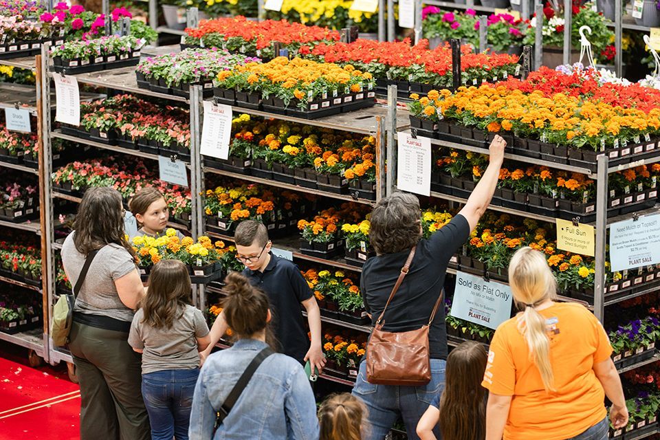 Growing Excellence Plant Sale flats