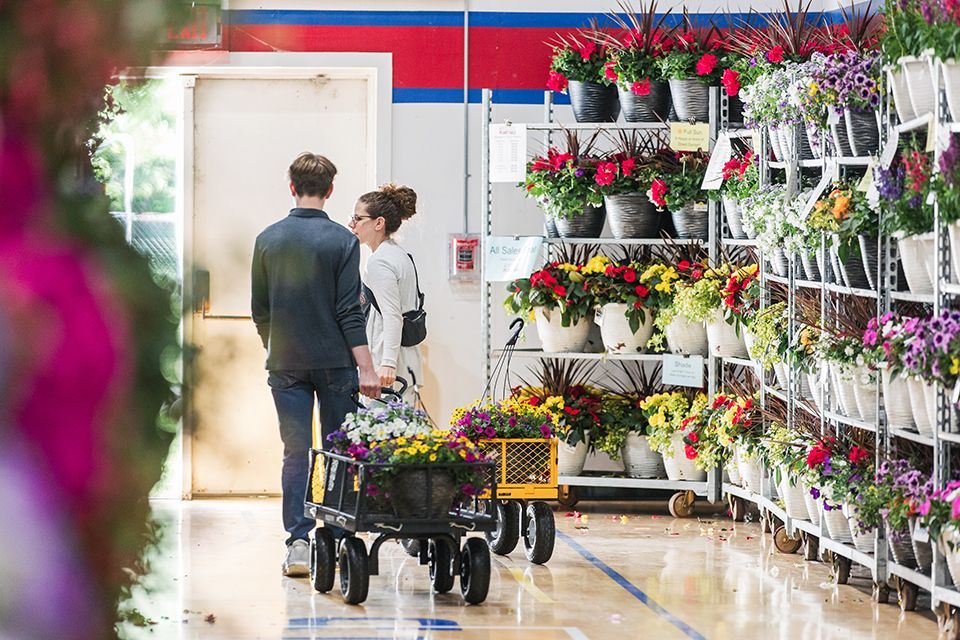 Growing Excellence Plant Sale hanging baskets