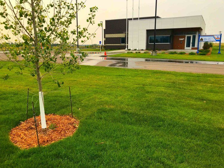 elk point ab landscaping